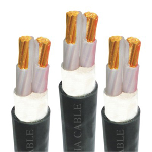 Cadivi Cable CXV -2x1 (2x7/0 425) -0 6/1kV
